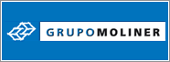 Grupo Moliner